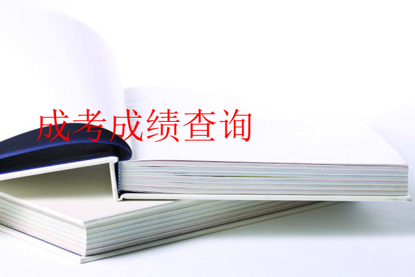 成考成績查詢