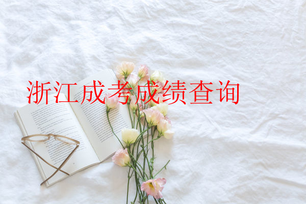 浙江成考成績查詢